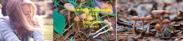 МДМА Горнозаводск