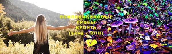 МДМА Горнозаводск