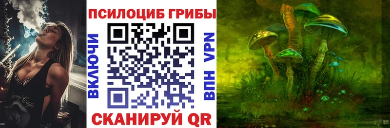 Псилоцибиновые грибы Psilocybine cubensis  мега как зайти  Мещовск 