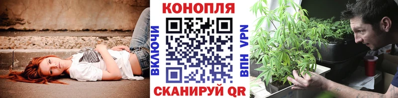 МАРИХУАНА сатива  Мещовск 